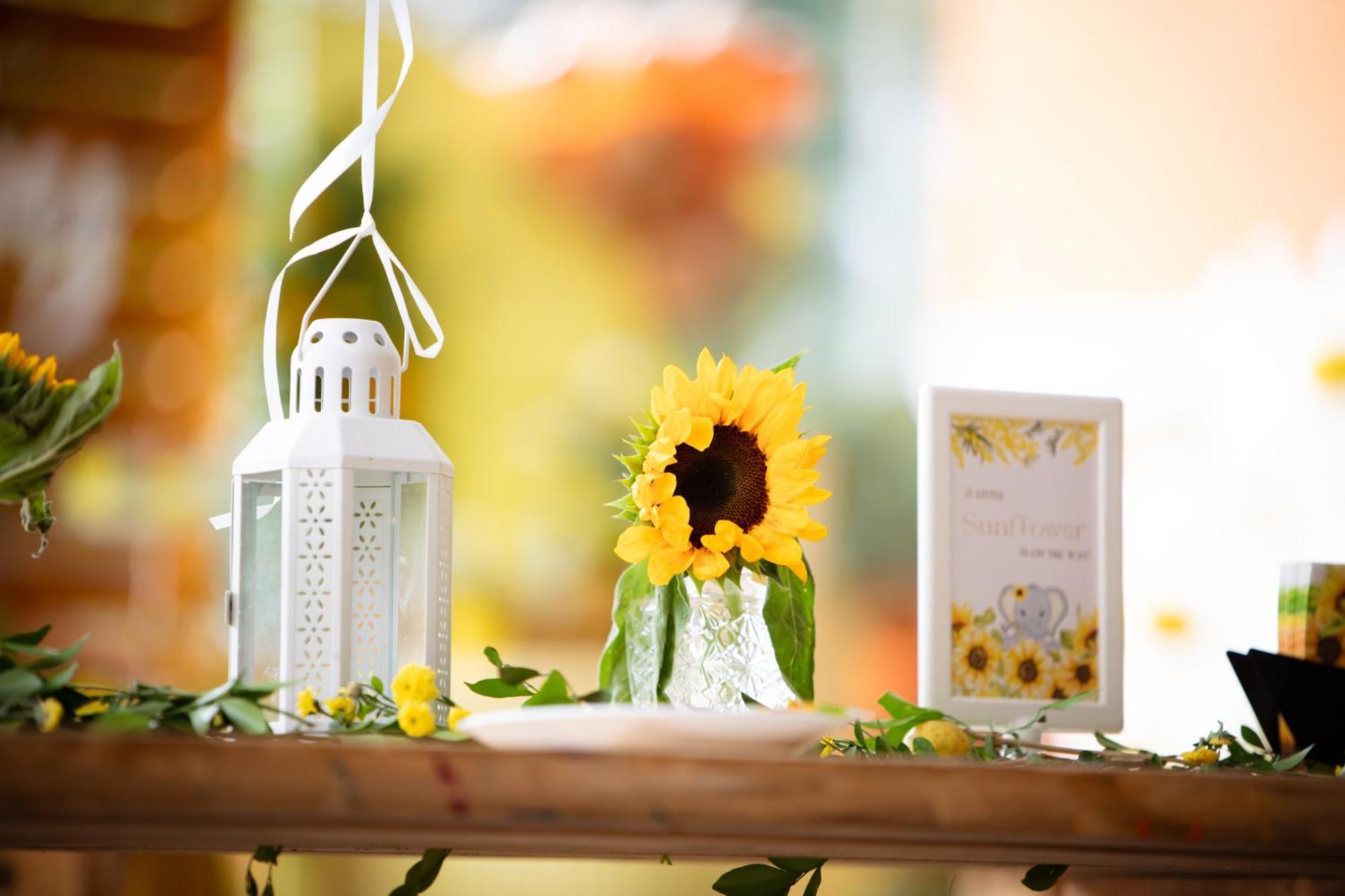 Olde Bangalore Resort And Wellness Center Devanahalli Екстер'єр фото